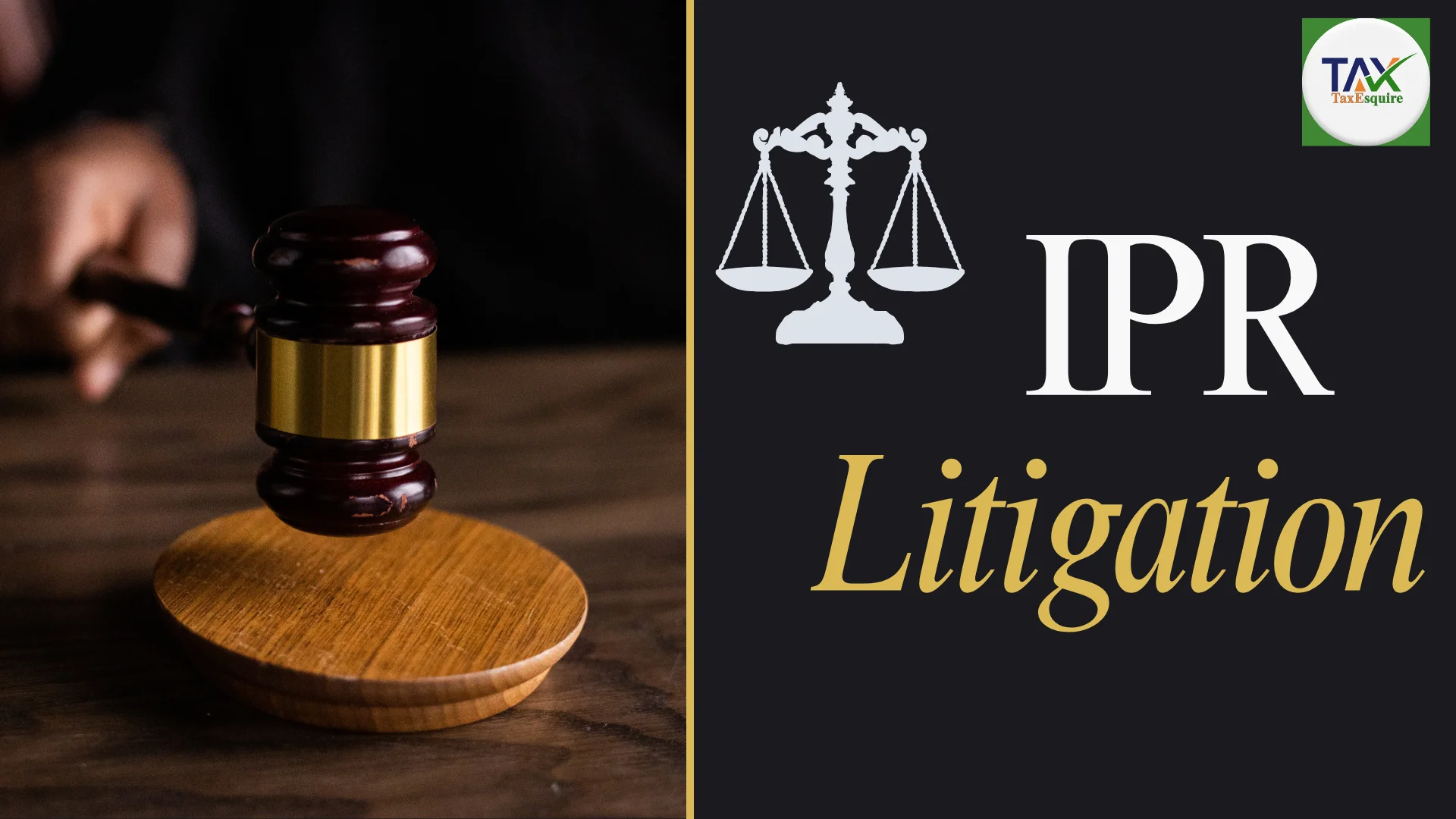 IPR Litigation